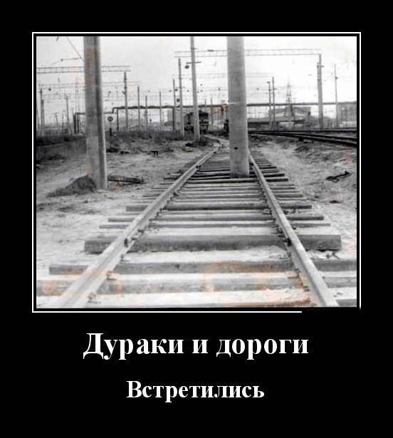 Podborka luchshikh demotivatorov 500 020